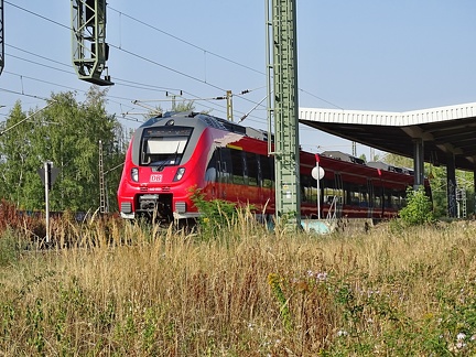 442-603 halle-silberhoehe 29.08.2018.11